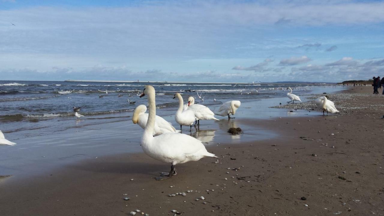 Apartment Beach Swinoujscie Dış mekan fotoğraf